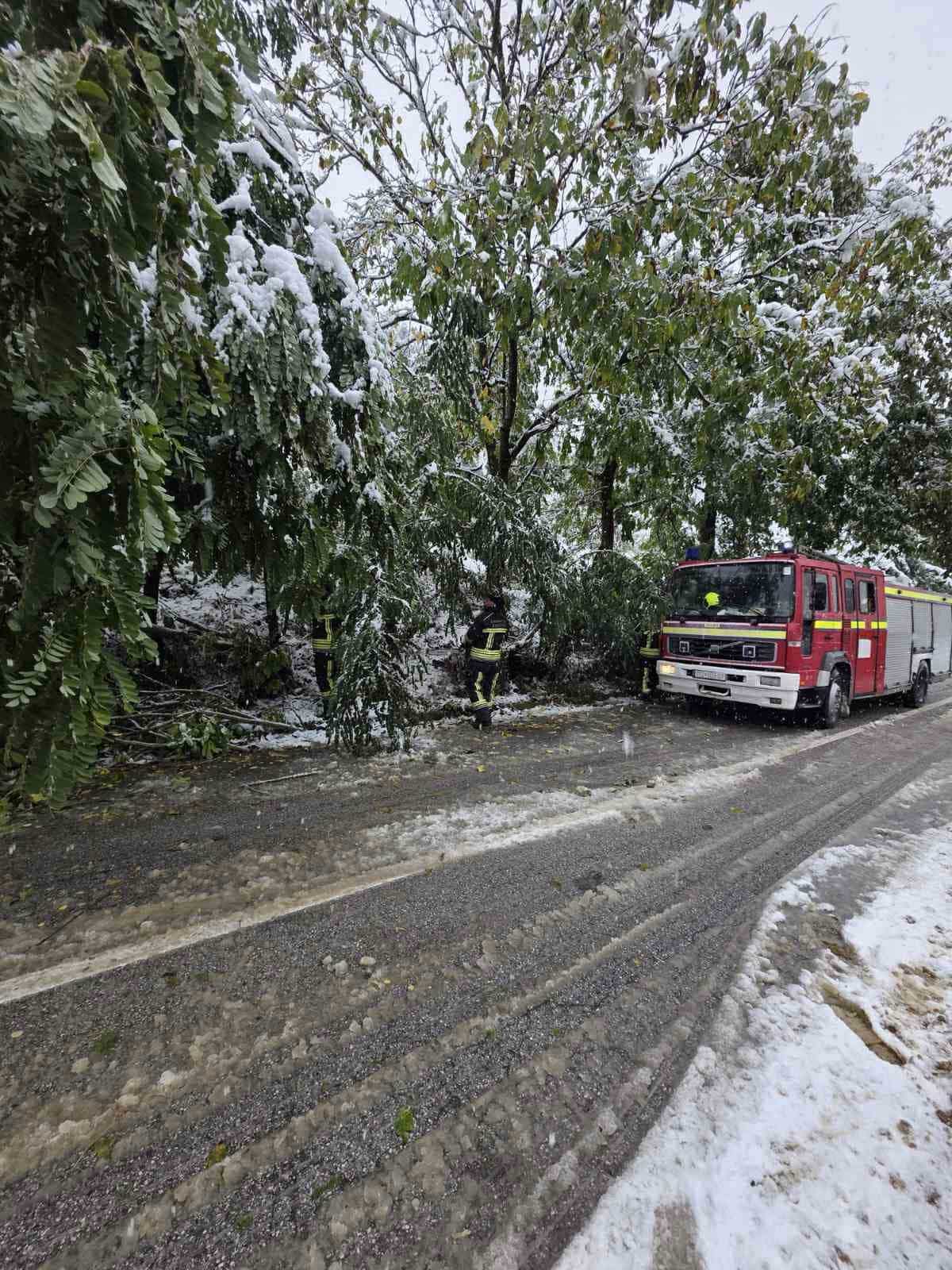 Drejtoria e Shërbimeve Publike ndërmerr dhjetëra intervenime pas reshjeve të borës