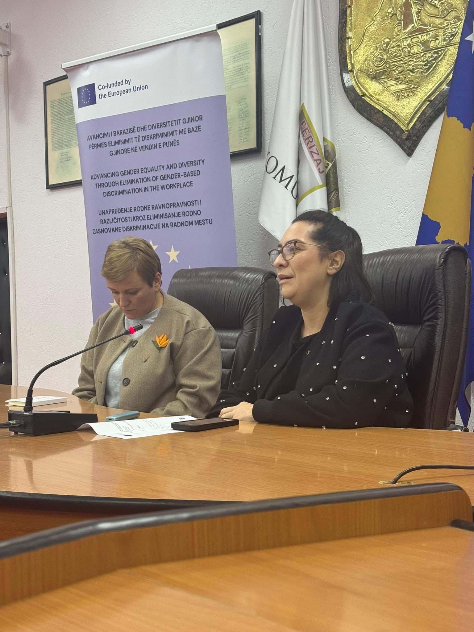 Takim socializues me gratë sipërmarrëse nga rrethina e Ferizajt dhe Kaçanikut, punëtore si dhe përfaqësuese të organizatave lokale